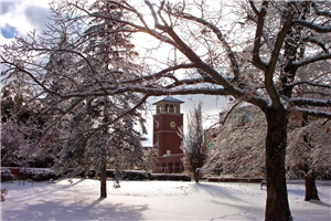 Truman State University Bell Tower