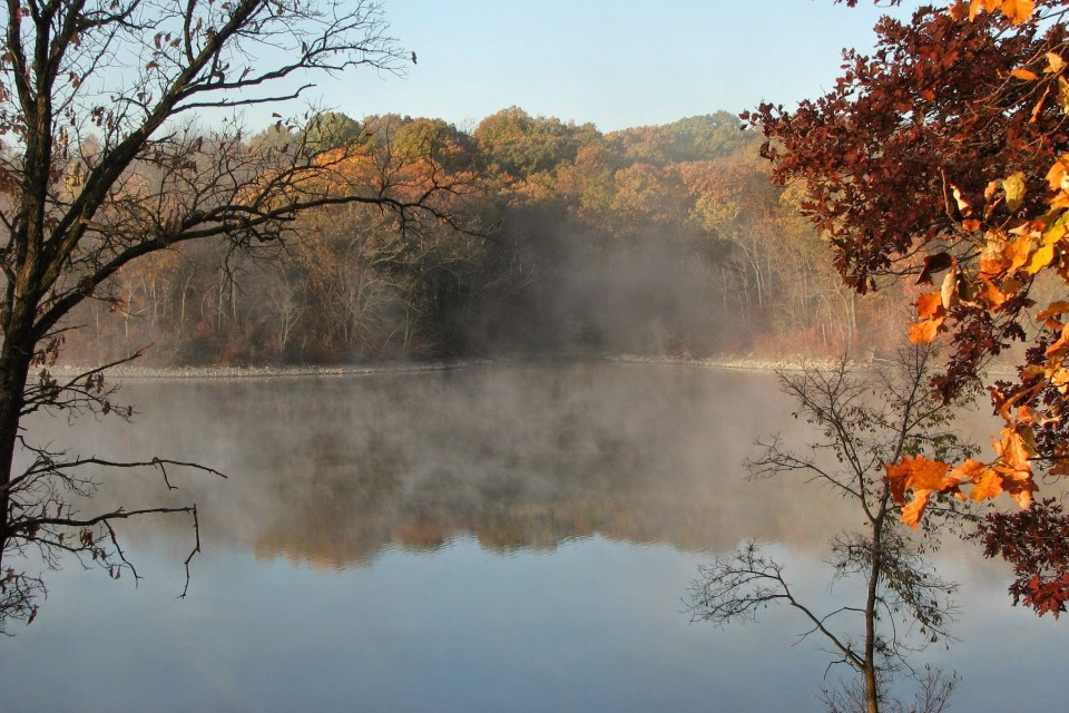 A photograph of morning mist hanging over forest lake