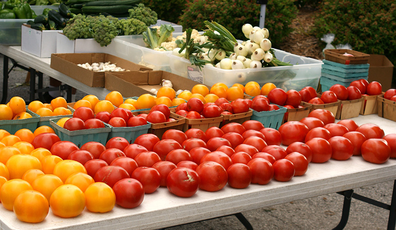A photograph of an abundance of tomatoes for sale at a market